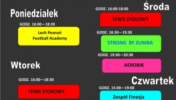 grafik zajęć