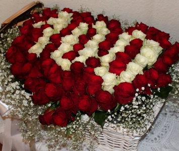 czerwone i białe róże ułożóne w liczbę 100